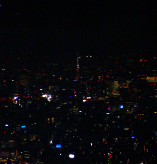 P1070842.jpg